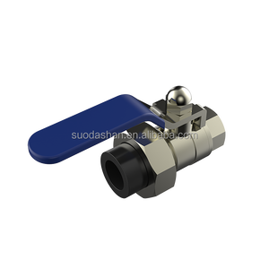 ข้อต่อท่อระบายน้ำพลาสติก HDPE คุณภาพสูงมาตรฐาน ISO ขนาด 20-63 มม. แบบเกลียวใน สำหรับสวน อุปกรณ์เสริม PE - Product Image 1