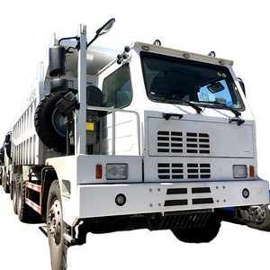 Camion Pesante HOWO TX-D per la Trasportatazione Trans-Siberiana, Pronto per la Spedizione, con Pacchetto per Climi Estremamente Freddi - Product Image 1