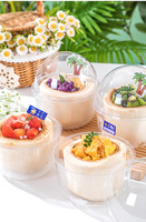Kokosnoot Verpakking Transparante Blister Doos Voor Cake Dessert Bakken Fruit Verpakking Jelly Cup