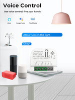 Tuya 220V commutateur de gradateur Assistant domestique WiFi Module électrique intelligent 2 gangs relais fonctionne avec Alexa Google Yandex Alice