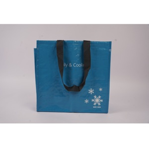 ถุงเก็บความเย็นหุ้มฉนวนกันความร้อนแบบใช้แล้วทิ้งถุงอาหารกลางวันแบบไม่ทอสำหรับใส่อาหาร - Product Image 2