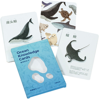 Boîte d'emballage en carton blanc personnalisable avec fenêtre pour affichage de cartes d'apprentissage Matériaux en papier respectueux de l'environnement