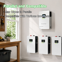 Batterie au lithium LiFePO4 à écran tactile LED, 25,6 V, 100 Ah, 228 Ah, 280 Ah, 314 Ah, 6500 cycles, montage mural, 2,5 kWh, 5 kWh, 7 kWh, 8 kWh