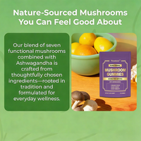Complément alimentaire en gommes végétaliennes en gros, marque privée OEM, mélange de 7 champignons fonctionnels 2500mg pour la concentration et l'équilibre avec Ashwagandha