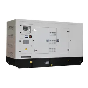 Nhà máy chất lượng tốt công nghiệp Máy phát điện 250kva với Kubota động cơ máy phát điện 3 giai đoạn DIESEL Máy phát điện đặt