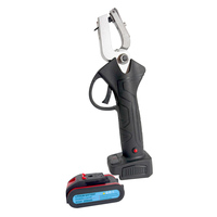 Nouvel applicateur électrique d'étiquettes auriculaires, pince à étiquettes monobloc 110V/220V pour prise standard américaine, outil de marquage du bétail