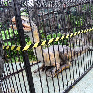 Tùy chỉnh khổng lồ cuộc sống lớn kích thước công nghệ mới Silicone khủng long <span class=keywords><strong>animatronic</strong></span> cho công viên chủ đề - Product Image 5