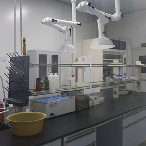 Alimento Húmedo Orgánico para Gatos de 15g, Delicioso Sabor a Pollo y Res, Alto en Proteínas, Certificado Seguro para Mascotas, Incluye Premios para Perros, Snacks Fabricados - Product Image 6