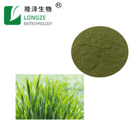 Approvisionnement en usine OEM marque privée poudre d'herbe d'orge soluble dans l'eau chlorophylle nourriture sauvage bouteille tambour récipient en plastique