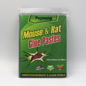 Piège à colle pour <span class=keywords><strong>souris</strong></span> et rats en carton écologique jetable – Solution anti-parasites - Product Image 1