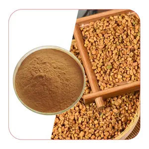 Top quality Factory Supply Plant extract Bulk Natural Pure organic Fenugreek seed extract