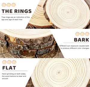 Rondelles et plaques de bois naturelles écologiques non finies pour centres de table de mariage, décoration et projets de peinture DIY - Product Image 3