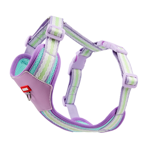 Arnés de Pecho para Mascotas con Diseño de Rayas, Ultraligero y Suave como una Nube, con Acolchado Suave de Poliéster, Correa para Caminar con un Lindo Lazo - Product Image 4