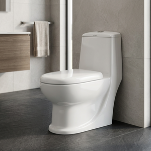 WC monobloc moderne en céramique blanche avec siphon en P, chasse d'eau double, à poser au sol, pour Dubaï - Product Image 6