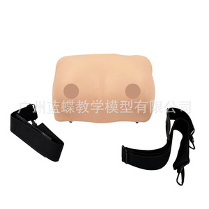 Modelo portátil para entrenamiento y examen de senos; práctica didáctica sobre patología mamaria femenina; modelo para autoexamen y cuidado. - Product Image 1