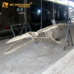 Decoración colgante <span class=keywords><strong>esqueleto</strong></span> <span class=keywords><strong>de</strong></span> <span class=keywords><strong>ballena</strong></span> <span class=keywords><strong>de</strong></span> tamaño natural - Product Image 3