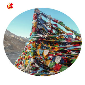 Дешевый новый дизайн, буддийский молитвенный флаг, рекламная печать на заказ, полноцветные декоративные уличные Тибетские буддийские молитвенные флаги - Product Image 5