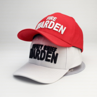 Hoge kwaliteit vintage buckram gestructureerde terry cap met geborduurd fruitlogo, gebogen klep, 6 panelen, sport baseball cap