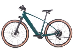 Nueva Bicicleta Eléctrica FX-1 de 12 Velocidades para Adultos con Cuadro de Aluminio, Frenos de Disco Hidráulicos, Cuadro Totalmente Amortiguado - Carreras/Todoterreno - Product Image 6