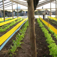 Piège collant en rouleau à large application, idéal pour les légumes, les fleurs, les arbres fruitiers, les jardins et les serres