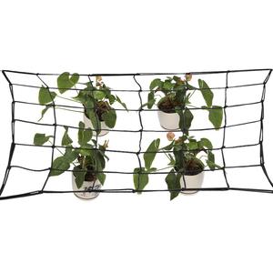 TRILITE Usine Support Scrog <span class=keywords><strong>Net</strong></span> Grow Tent Mesh <span class=keywords><strong>Net</strong></span> 50 60 80 90 100 120 150cm - Product Image 3