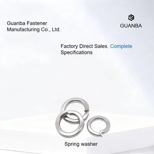 Rondella a molla in acciaio inossidabile - Product Image 1