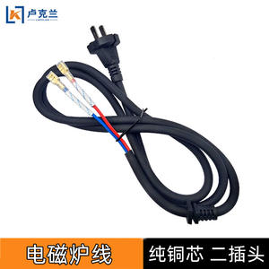 Pure Copper Wire Electromagnetic Spring Sheath Two-Prong Induction Cooker <b>Power</b> Supply Accessory 1 for Induction Cooker Parts - Product Image 5