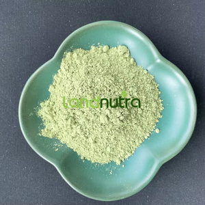Proteine del Siero di Latte Isolate in Polvere ad Alto Valore Nutritivo Gusto Cioccolato e Menta Integratore Sportivo per Palestra - Product Image 3