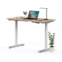 Meubles de bureau à domicile intelligents Table d'ordinateur électrique ergonomique à hauteur réglable Bureau debout OEM intelligent