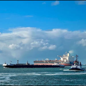 <strong>Sea</strong> <strong>Moss</strong> <strong>Gel</strong> Nutrition Agent OEM Private Freight Forwarder UPS DPD Free Logistics DDU/DDP Shipping <strong>UK</strong> FBA Support Product FCL - Product Image 6