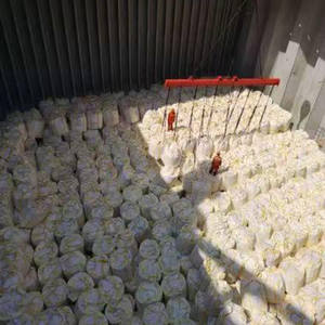 <span class=keywords><strong>H3po3</strong></span> 99% blanc cristal usine approvisionnement 10294-56-1 prix acide phosphoreux - Product Image 6