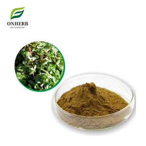 Заводская поставка, 100% натуральный органический экстракт PORTULACA OLERACEA, 99% порошковый экстракт портулака - Product Image 1