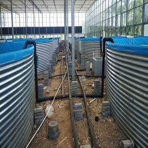 Bassin d'élevage commercial de tilapias, structure en acier galvanisé, revêtement en PVC, bassin rond pour aquaculture intensive en recirculation (<span class=keywords><strong>RAS</strong></span>) - Product Image 3