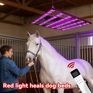 Solárium para Caballos <span class=keywords><strong>de</strong></span> 700W con 552 LED <span class=keywords><strong>de</strong></span> Múltiples Longitudes <span class=keywords><strong>de</strong></span> Onda, Personalizable para Centros <span class=keywords><strong>de</strong></span> Bienestar y Recuperación Equina - Product Image 6