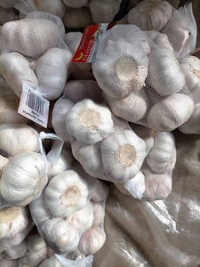 2025 Trung Quốc Hữu Cơ Trang Trại Của Màu Trắng Tinh Khiết Tươi <span class=keywords><strong>Solo</strong></span> 3P Bóc Vỏ Tỏi Thực Phẩm Cấp Cách Sử Dụng - Product Image 4