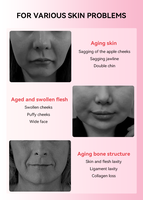 Nouvel équipement de beauté électronique de luxe lifting du visage masseur à micro-courant appareils de beauté professionnels