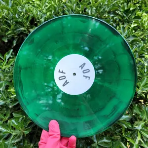 Blank Vinyl Records Wholesale Make Vinyl Records Wholesale Price Smoked Green Vinyl Records Music