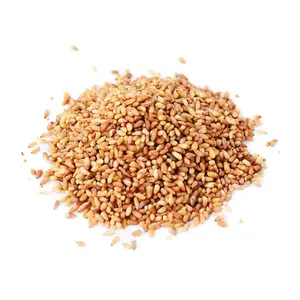 Good Quality Dried Platycladi Seed For Flavor Tea