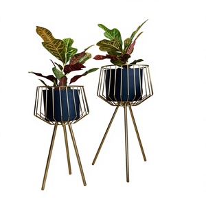 Home Decor Set of 2 Modern Gold Metal Plant Stand with Wire Frame Planter Powder Coated Finish Drainage Hole for Indoor Use - Product Image 1