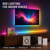 Muestra Gratuita de Tira de Luces LED RGB Impermeables de 5m/10m, Kit de Luces LED Multicolor 5050/3825 con Control Remoto IR para TV, Hogar, Dormitorio, 24V