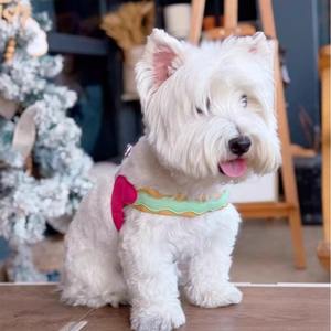 Pettorina Riflettente in Nylon per <span class=keywords><strong>Cani</strong></span>, Gilet Resistente per Cuccioli, Imbracatura da Passeggio per Animali Domestici, Regolabile per <span class=keywords><strong>Cani</strong></span> di Taglia Piccola, Media e Grande, anche per Pug - Product Image 2