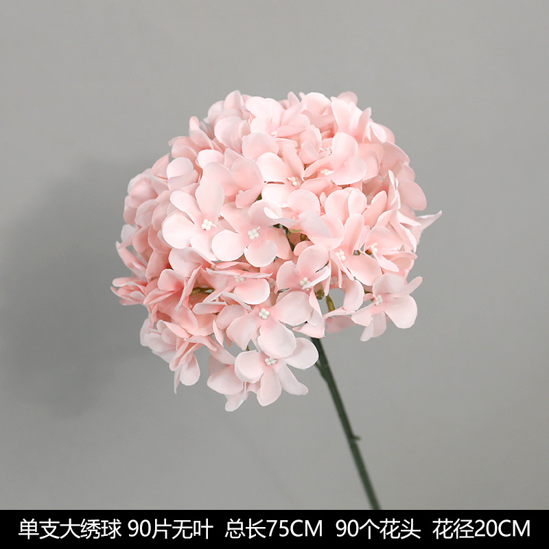 Single head large hydrangea 90 leadless