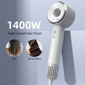 Secador de Pelo Iónico Plegable de 1400W, Potente, Blanco/Dorado, para Salón, Hotel, Exteriores, Motor DC, Personalizable OEM/ODM, Secado Rápido, Compacto, Apto para RV - Product Image 1