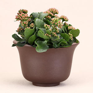 Purple Clay Ceramic Flower Pots Tabletop Small Pots Succulent <b>Personalized</b> Mini Fuchsia Pots <b>Sweet</b> Flag Bonsai Pots Flowers Vase - Product Image 2