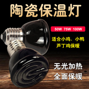 Lampe chauffante en céramique E27, ampoule à incandescence, haute efficacité thermique, lumière pour l'élevage de volailles - Product Image 3