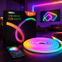 Bande LED néon RGBIC intelligente 5V alimentée par USB, résistance industrielle, IP65, PVC flexible, résistante aux UV, 5m, dimmable, pour signalétique