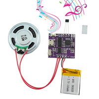 Módulo de Sonido con Control de Botones, Reproductor de Música y Voz, Chip de Voz Programable, Musical, 8MB, MP3, WAV, Descargable por USB, con Caja de Baterías AA