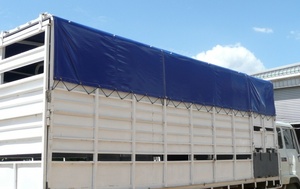Bâche en PVC enduit 0,55 mm 16 oz 18 oz (610 g 650 g) en rouleaux pour bâches de camion – Approvisionnement direct usine - Product Image 6