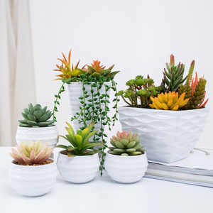 mayor <span class=keywords><strong>de</strong></span> <span class=keywords><strong>interior</strong></span> al aire libre casa jardín decoración 3D maceta <span class=keywords><strong>de</strong></span> suculentas plantas artificiales <span class=keywords><strong>de</strong></span> melamina para - Product Image 6