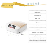Incubateur à œufs de poulet automatique HHD 56 œufs, entièrement automatique, à vendre